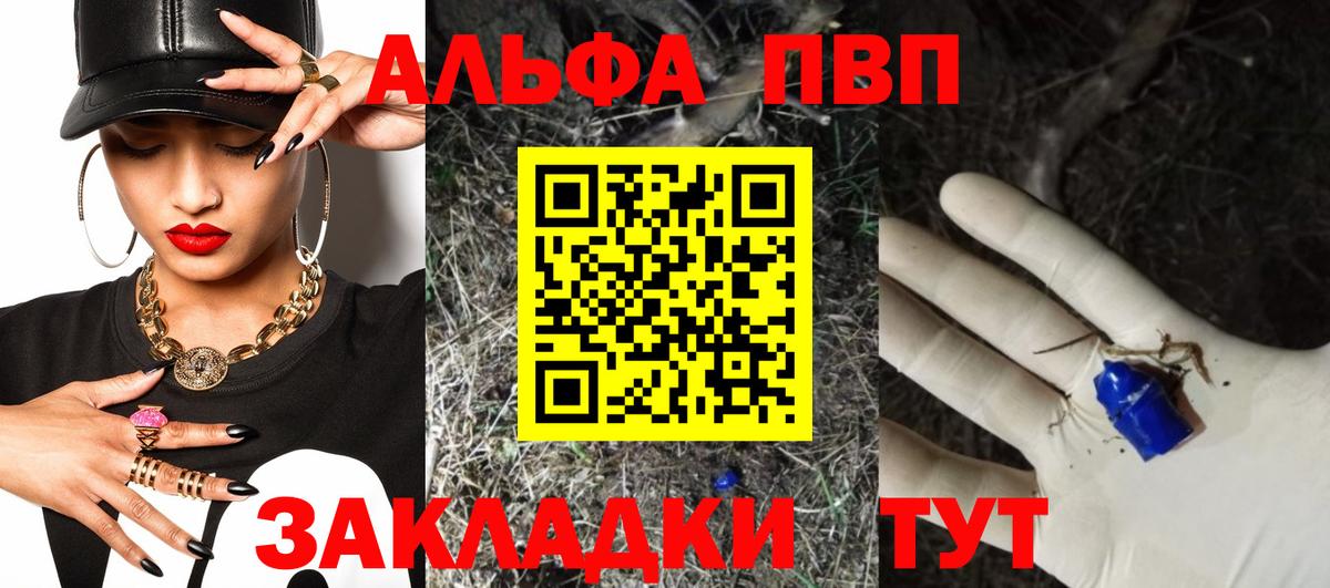 Alfa_PVP СК КРИС Майкоп