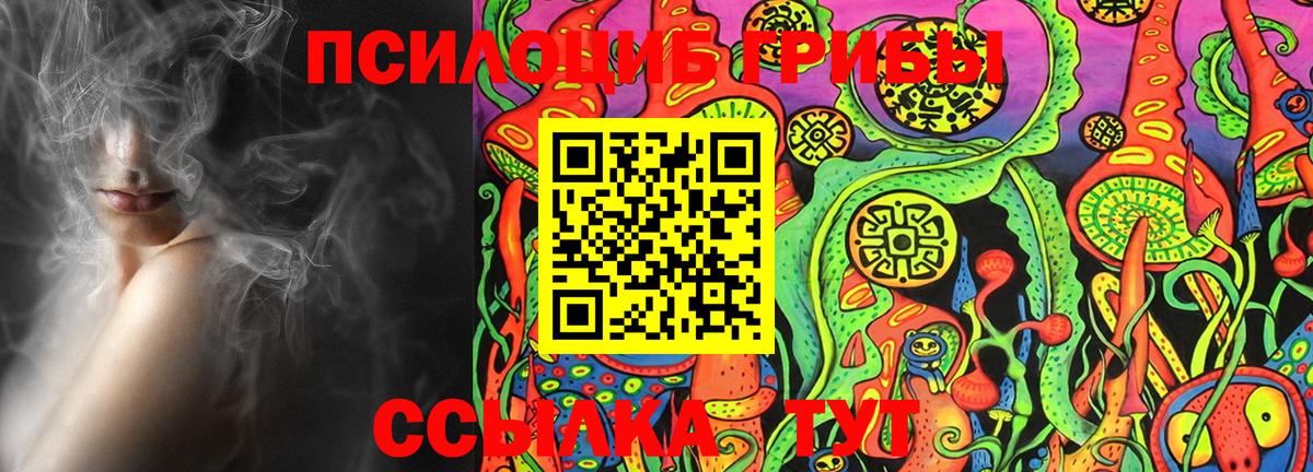 Галлюциногенные грибы Magic Shrooms Майкоп